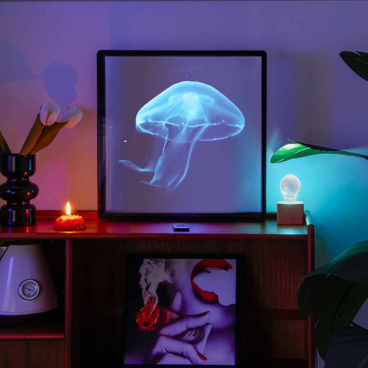 3D Hologram LED Fan With Frame Supports APP & Bluetooth Connectivity